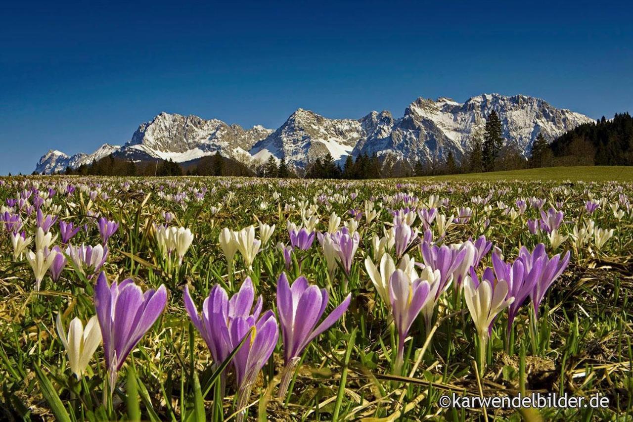 Ferienhotel Barmsee Krün Dış mekan fotoğraf